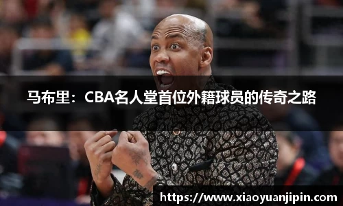 BB贝博登录入口