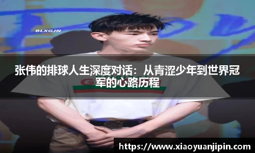 BB贝博登录入口