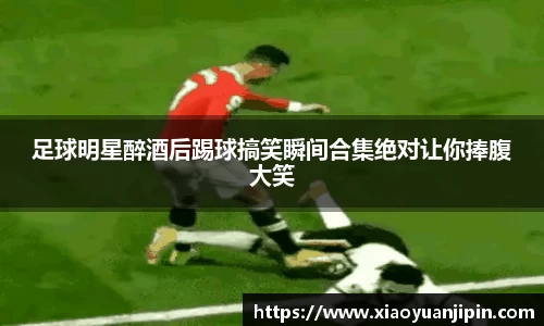 BB贝博登录入口