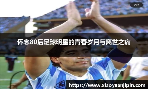 BB贝博登录入口